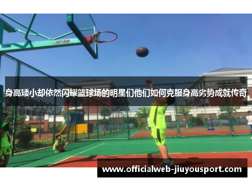 身高矮小却依然闪耀篮球场的明星们他们如何克服身高劣势成就传奇